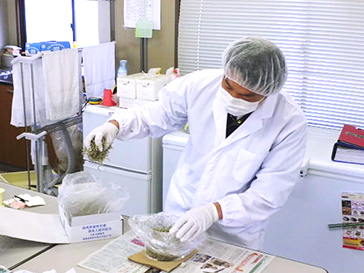 漁協による放射能検査